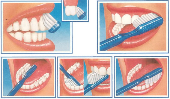 Come si spazzolano i denti